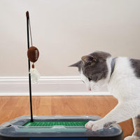 MS State Bulldogs Football Cat Scratcher Toy