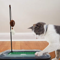 TN Volunteers Football Cat Scratcher Toy