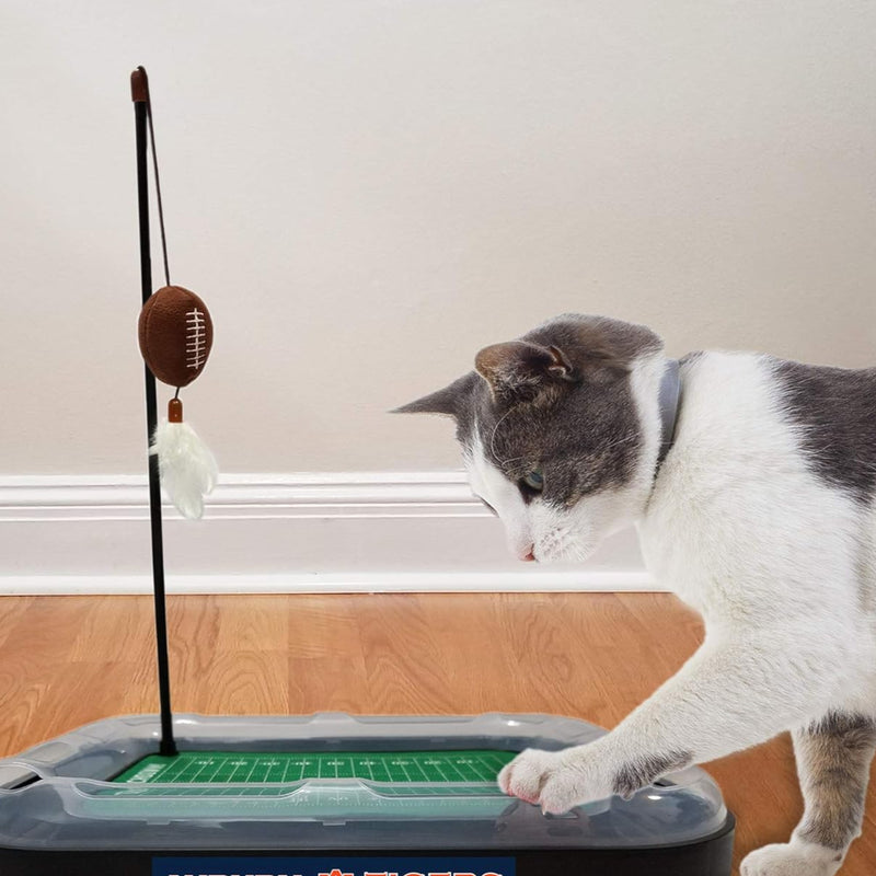 OR State Beavers Football Cat Scratcher Toy