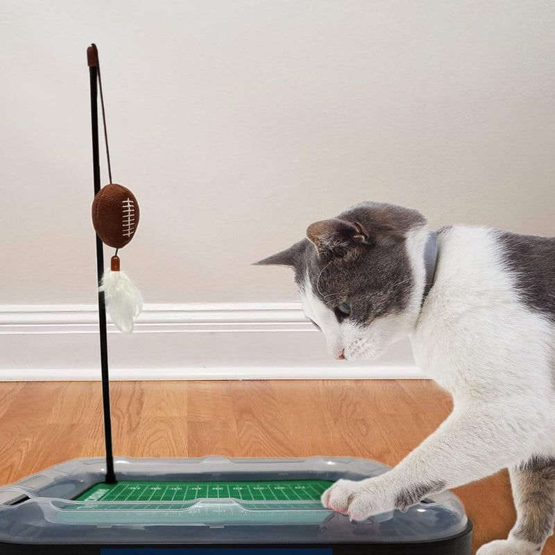 WV Mountaineers Football Cat Scratcher Toy