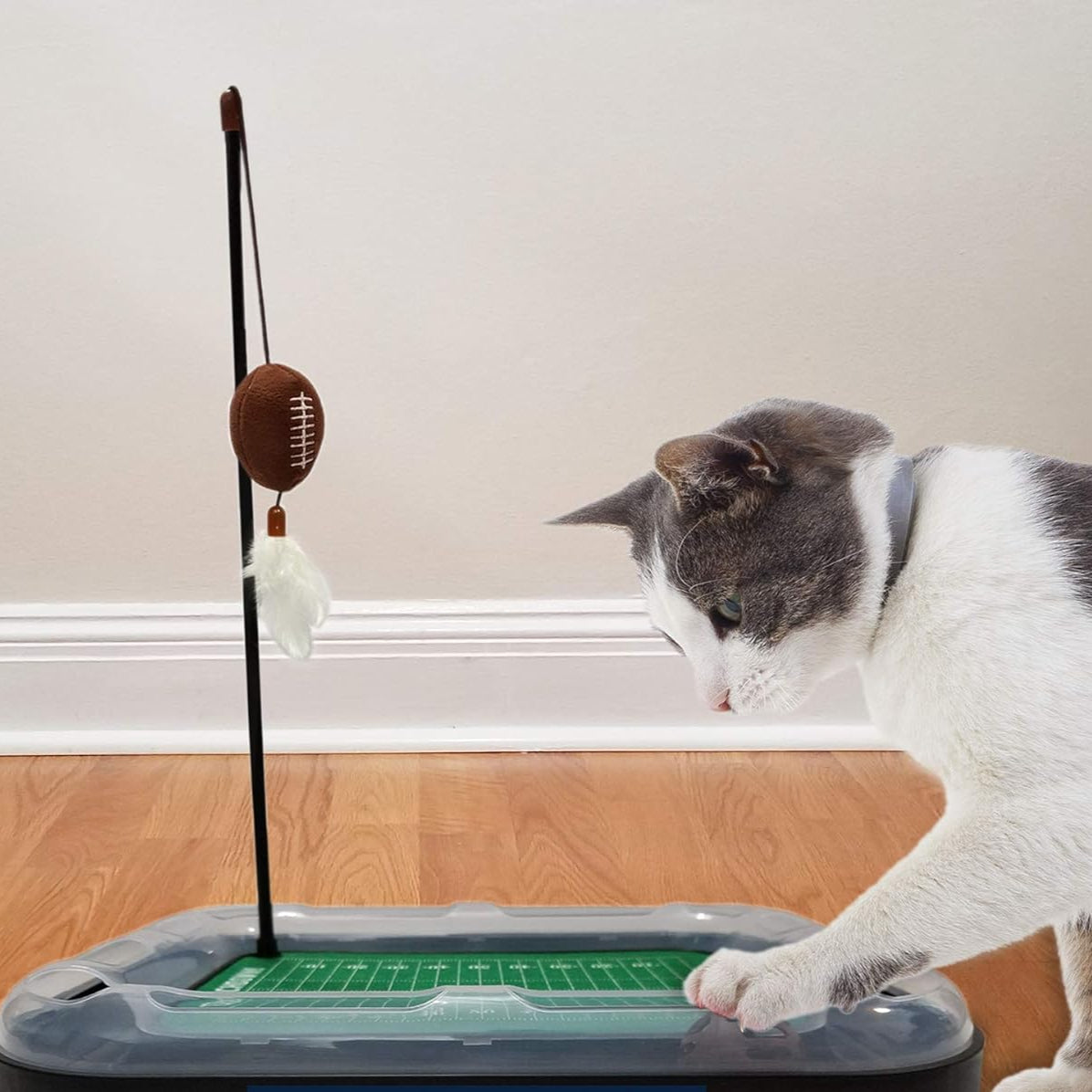 TX Longhorns Football Cat Scratcher Toy