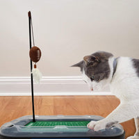 TX Longhorns Football Cat Scratcher Toy