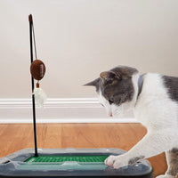 IA State Cyclones Football Cat Scratcher Toy
