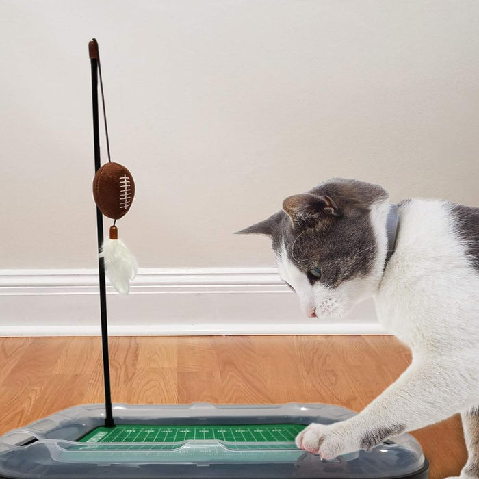 MD Terrapins Football Cat Scratcher Toy