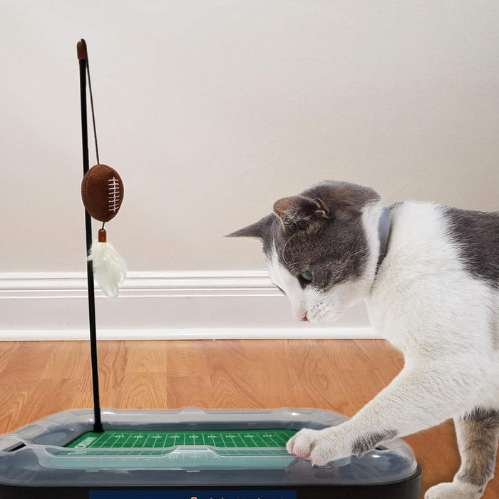 IN Hoosiers Football Cat Scratcher Toy