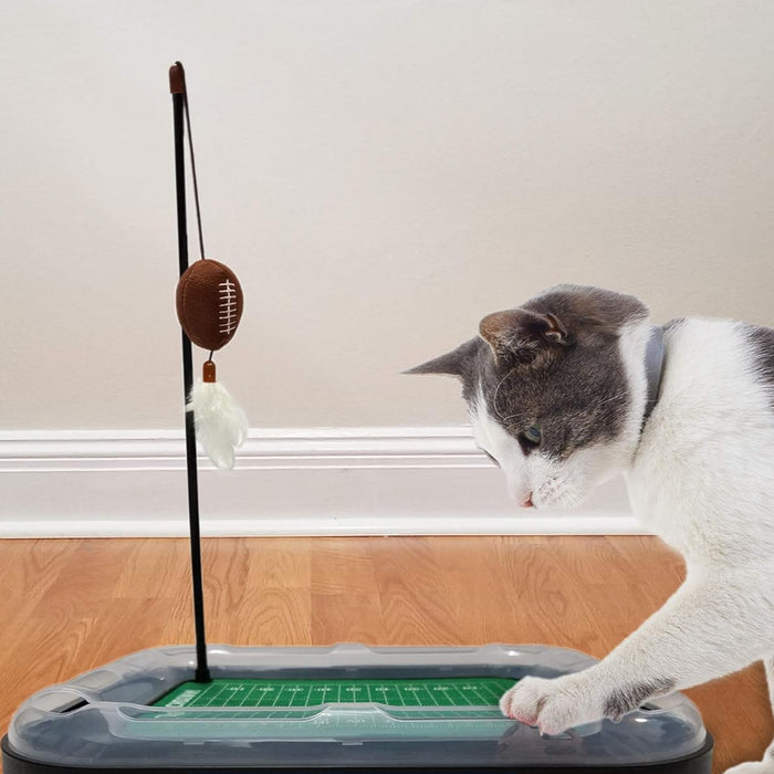 SC Gamecocks Football Cat Scratcher Toy