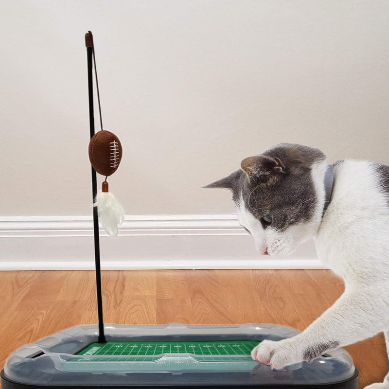 SC Gamecocks Football Cat Scratcher Toy