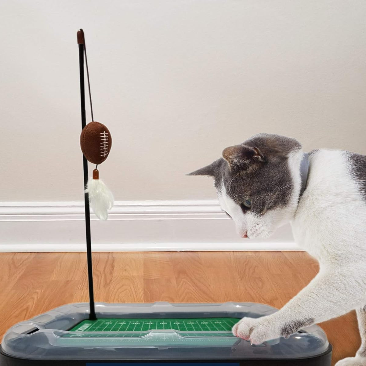 UT Utes Football Cat Scratcher Toy