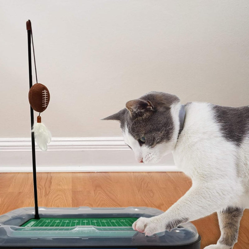 WI Badgers Football Cat Scratcher Toy