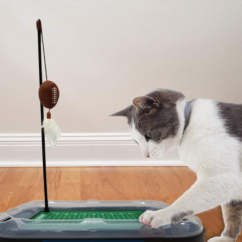 VA Cavaliers Football Cat Scratcher Toy