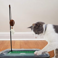 Purdue Boilermakers Football Cat Scratcher Toy