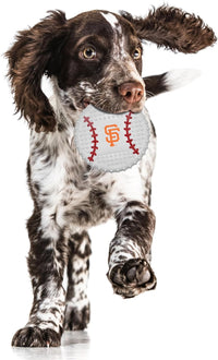 San Francisco Giants Hard Nylon Baseball Chew Toy