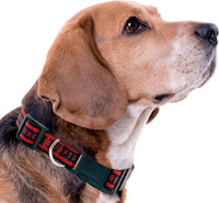 Toronto Raptors Dog Satin Collar or Leash
