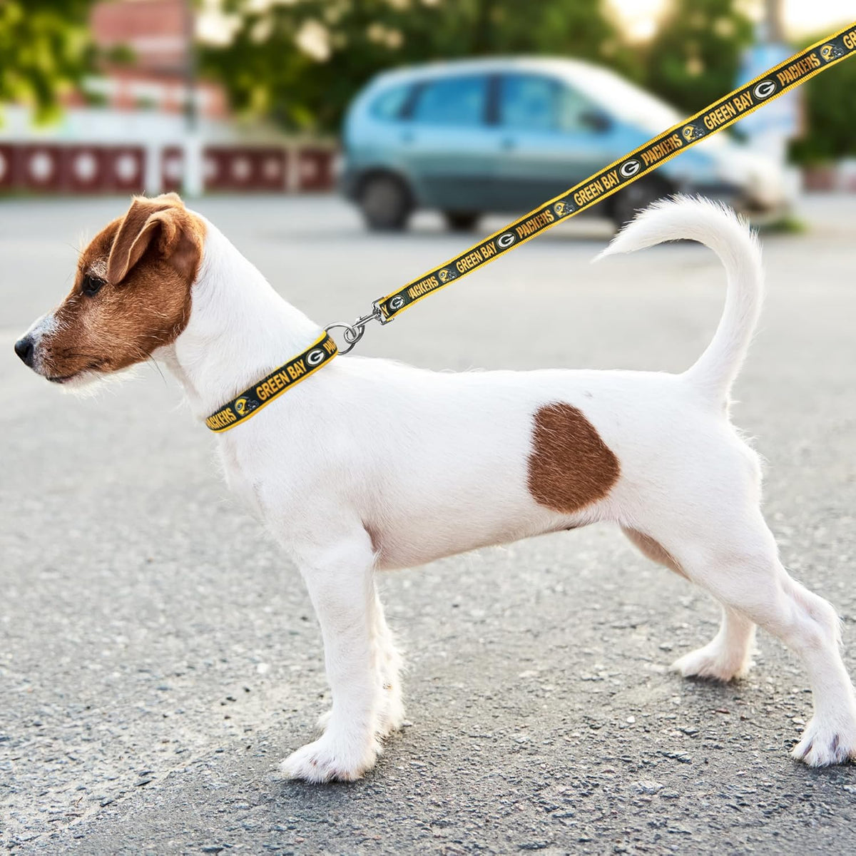 Green Bay Packers Dog Satin Collar or Leash