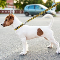 Green Bay Packers Dog Satin Collar or Leash