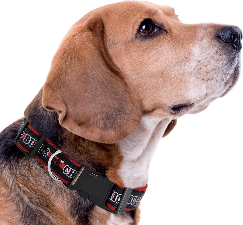 Chicago Bulls Dog Satin Collar or Leash