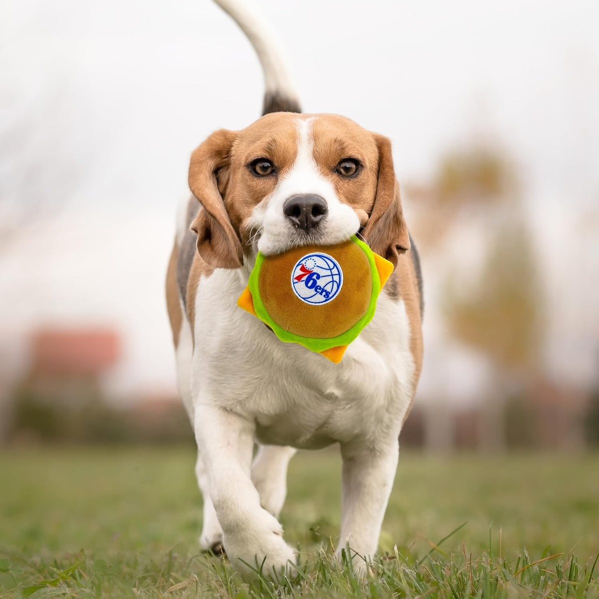 Philadelphia 76ers Sixers Dog Collar Philadelphia 76ers Hamburger