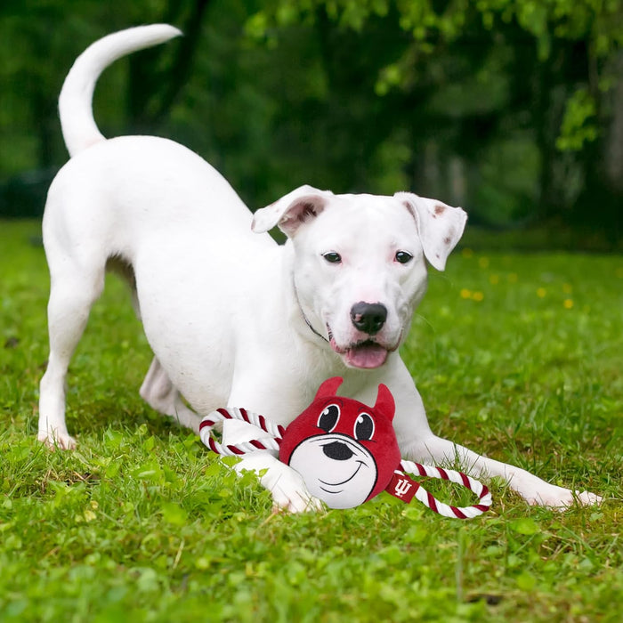 IN Hoosiers Mascot Rope Toys