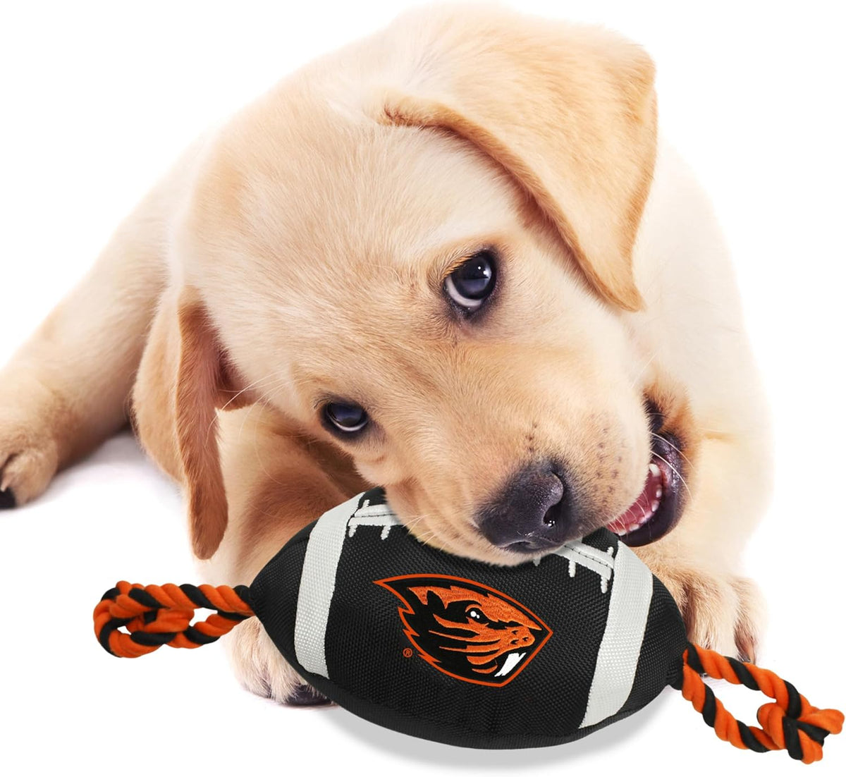 OR State Beavers Football Rope Toys