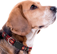 San Francisco 49ers Dog Satin Collar or Leash