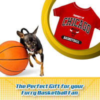 Chicago Bulls Athletics Pet Shirt
