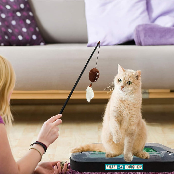 Miami Dolphins Football Cat Scratcher Toy