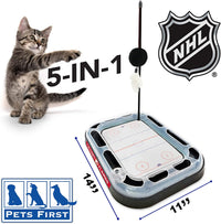 Calgary Flames Hockey Rink Cat Scratcher Toy