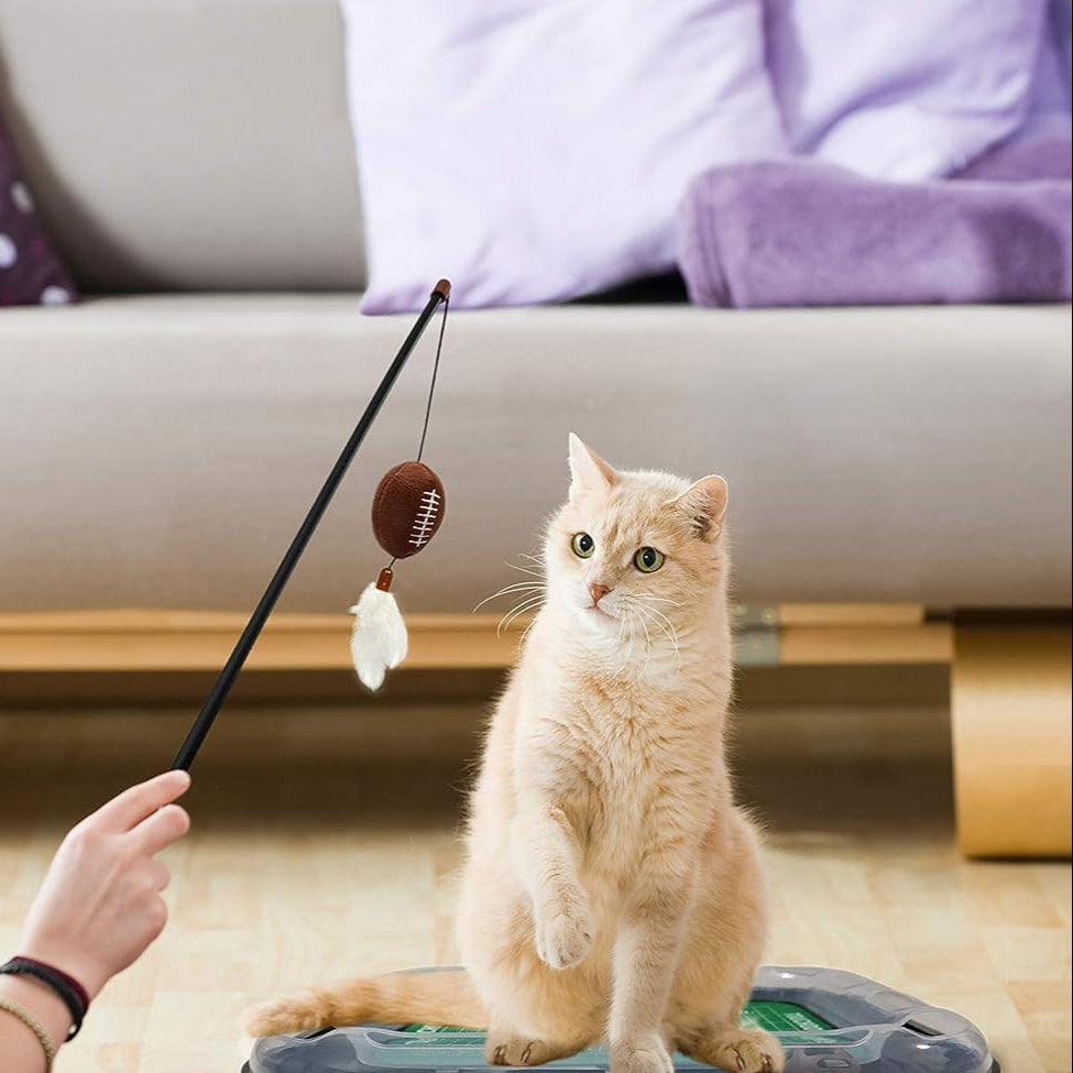 IN Hoosiers Football Cat Scratcher Toy