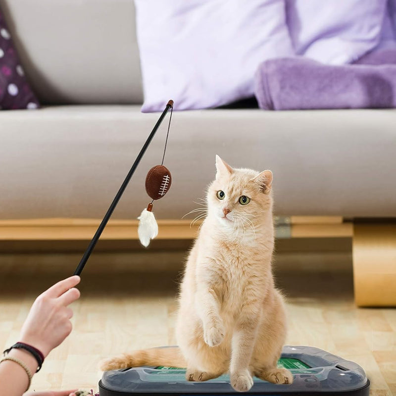 TX A&M Aggies Football Cat Scratcher Toy