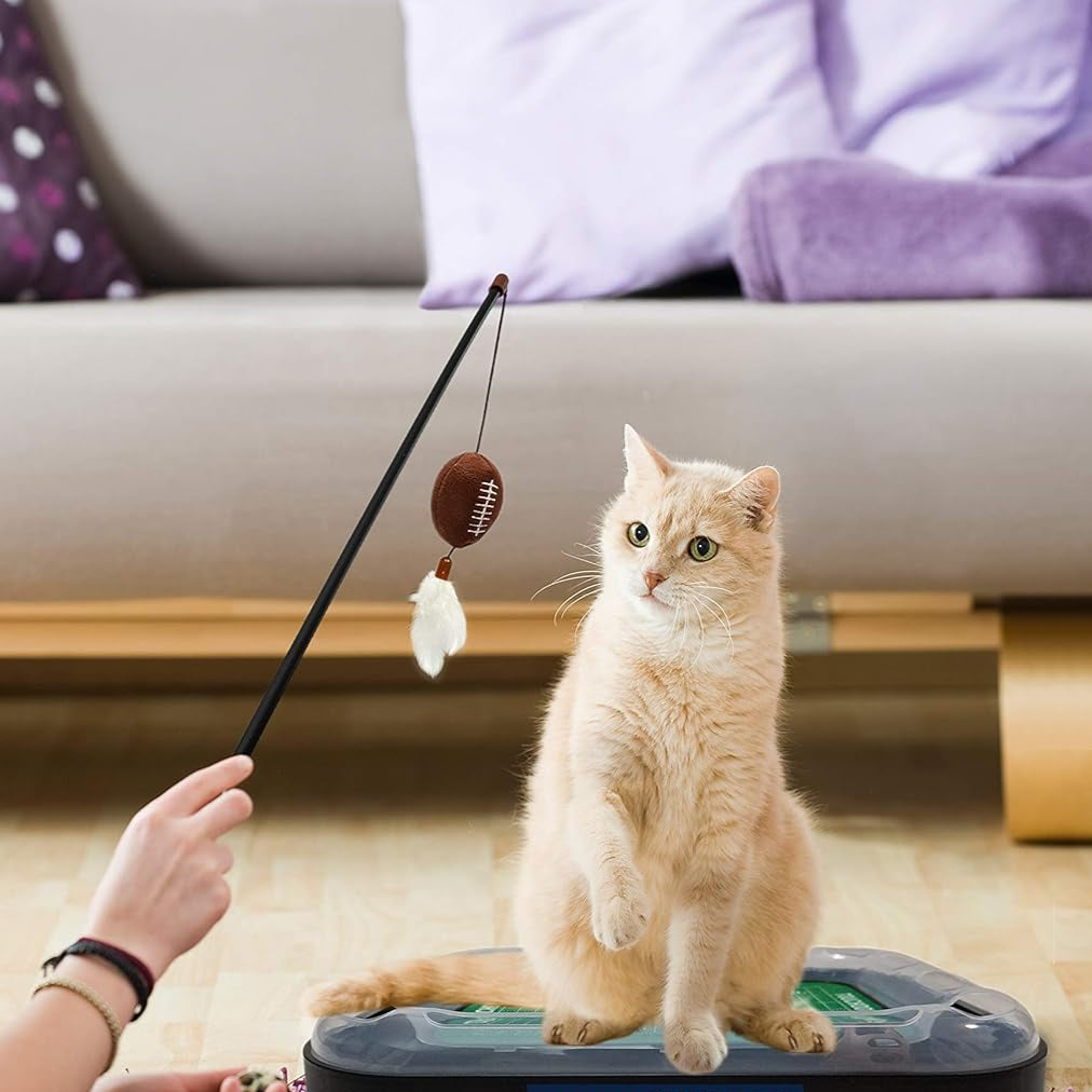 NC State Wolfpack Football Cat Scratcher Toy