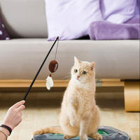 MS State Bulldogs Football Cat Scratcher Toy