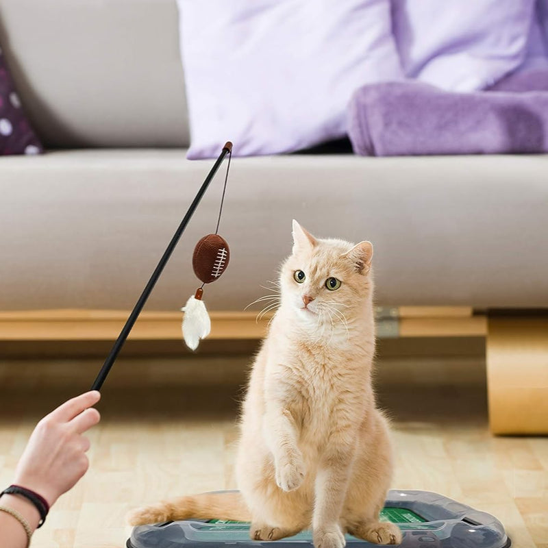 UT Utes Football Cat Scratcher Toy