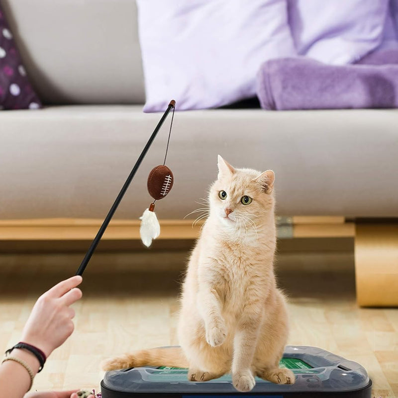 SC Gamecocks Football Cat Scratcher Toy
