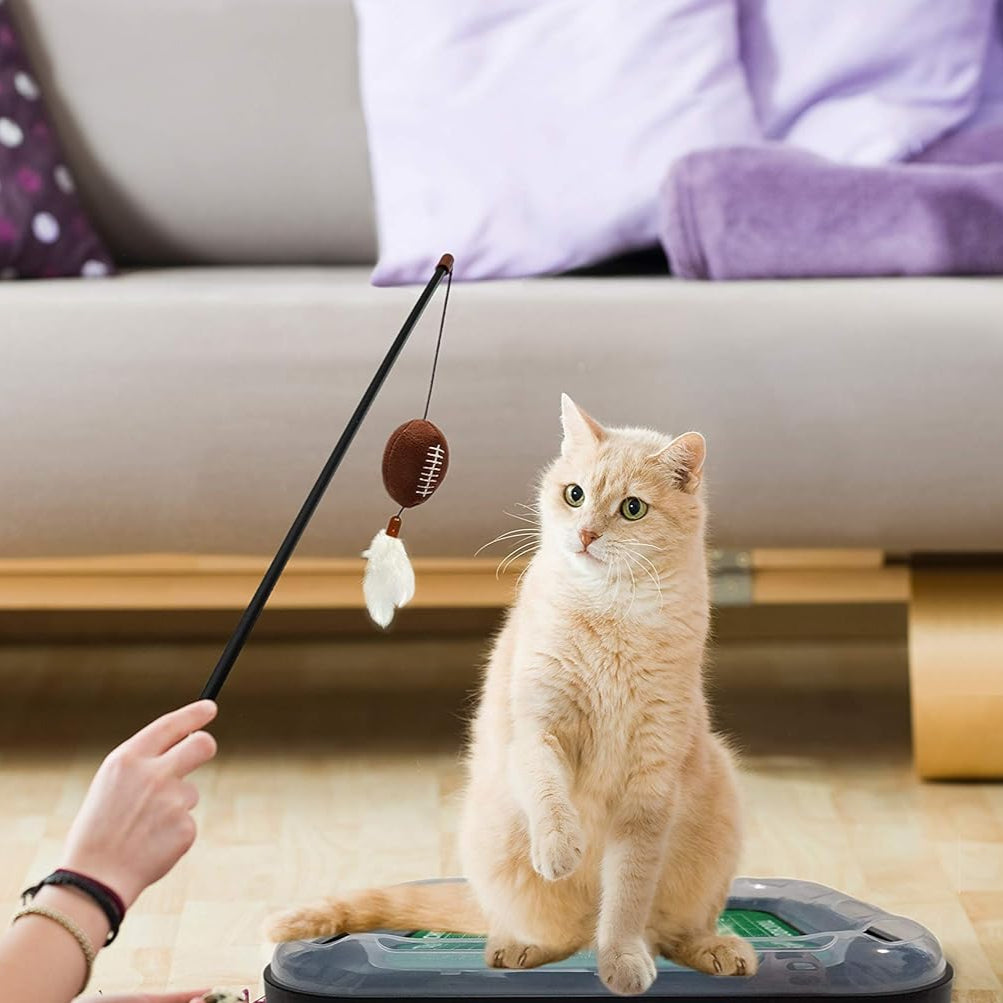 AZ Wildcats Football Cat Scratcher Toy