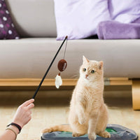FL Gators Football Cat Scratcher Toy