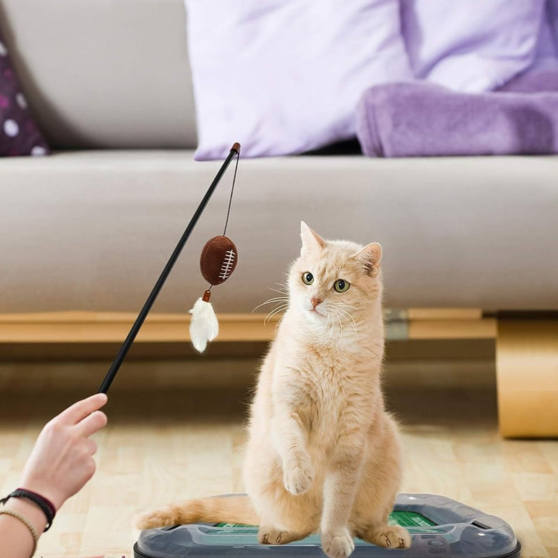 MD Terrapins Football Cat Scratcher Toy
