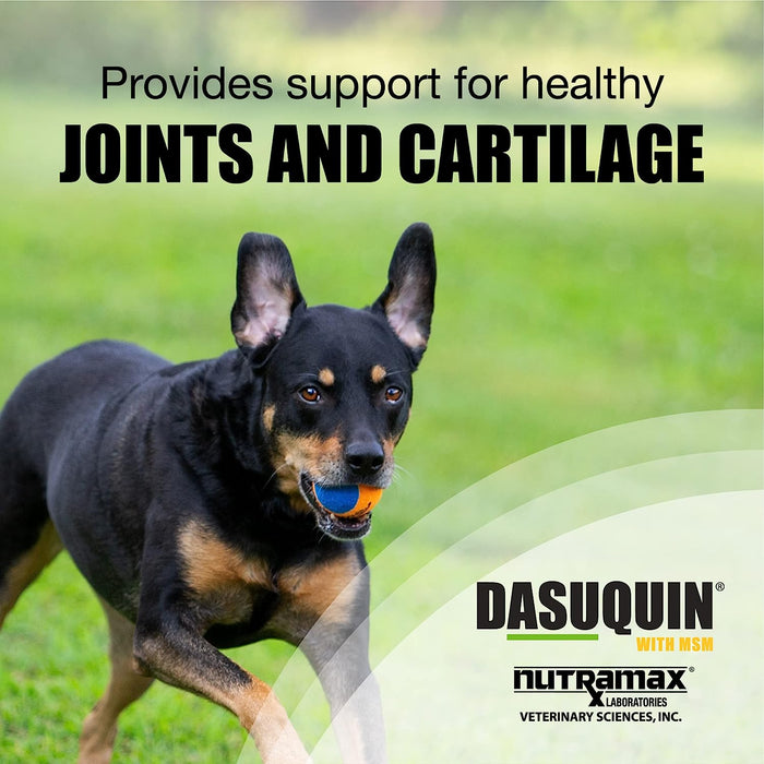 Dasuquin with MSM Joint Health Soft Chews - Large Dogs