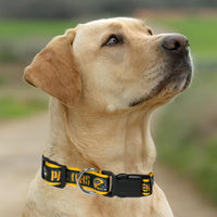 Green Bay Packers Dog Satin Collar or Leash