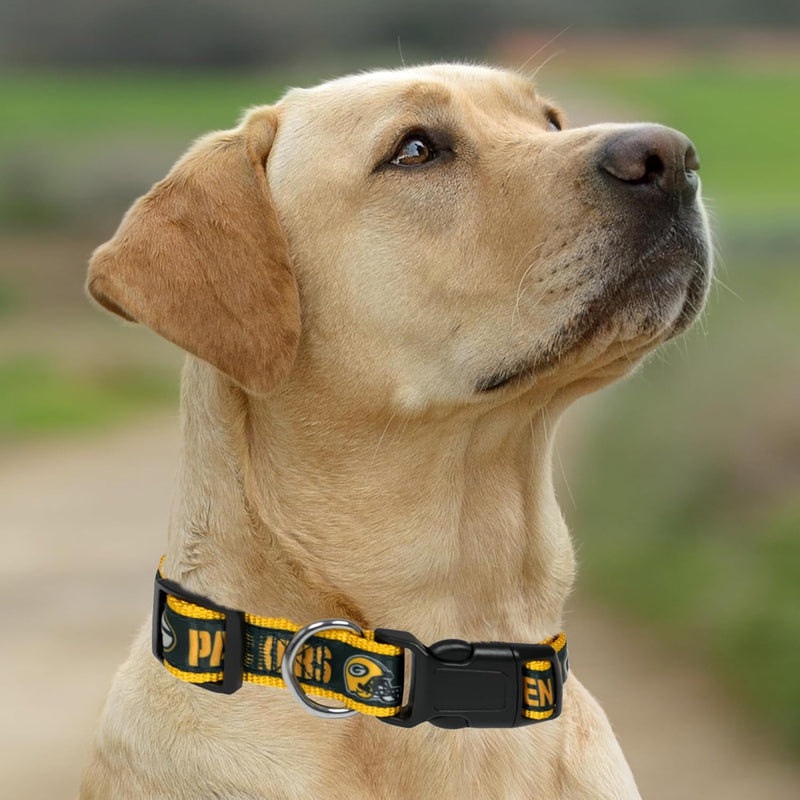 Green Bay Packers Dog Satin Collar or Leash