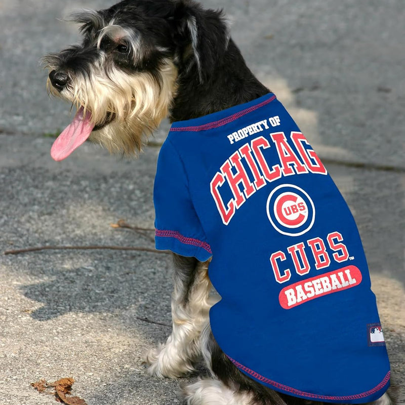 Chicago Cubs Athletics Tee Shirt