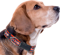 Denver Broncos Dog Satin Collar or Leash