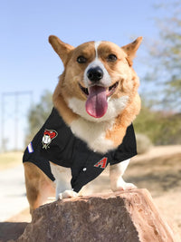 AZ Diamondbacks (Dbacks) Pet Jersey