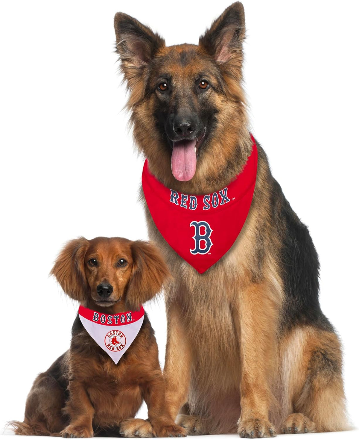 Boston Red Sox Reversible Slide-On Bandana