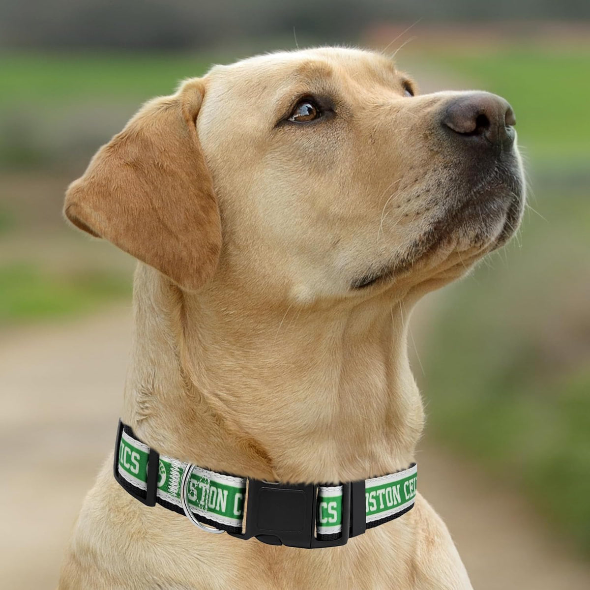 Boston Celtics Dog Satin Collar or Leash