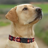 San Francisco 49ers Dog Satin Collar or Leash