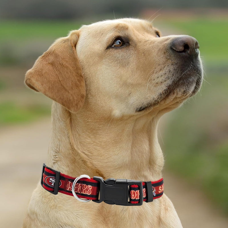 San Francisco 49ers Dog Satin Collar or Leash