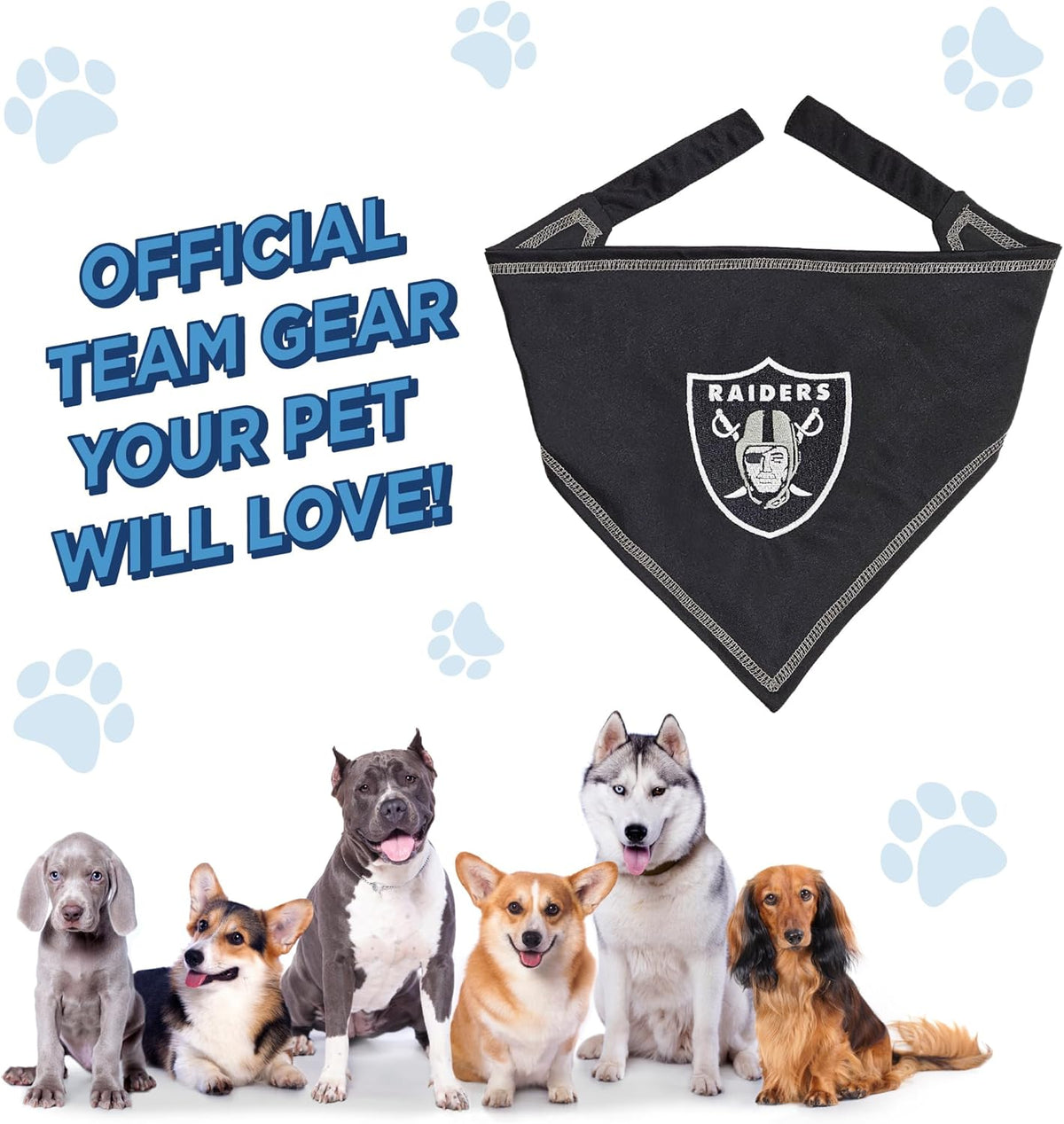 Las Vegas Raiders Tie-On Bandana