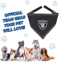 Las Vegas Raiders Tie-On Bandana