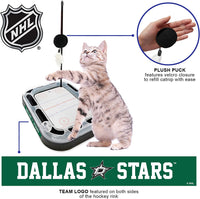 Dallas Stars Hockey Rink Cat Scratcher Toy