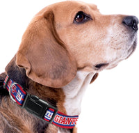 New York Giants Dog Satin Collar or Leash